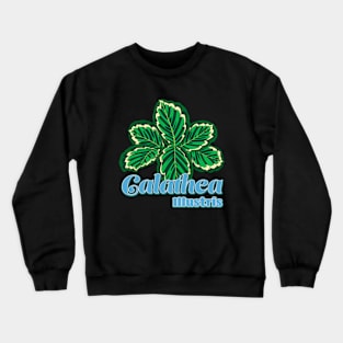 Calathea Illustris Crewneck Sweatshirt